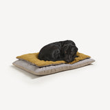 Black Labrador curled up on Dog bed ochre linen topper on cotton ticking stripe floor cushion.