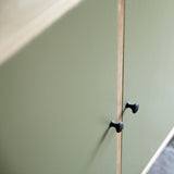 Two green painted doors with black metal door knobs.