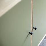 Close up of angle cabinet showing painted green doors, vertical ply wood divide and black metal door knobs.