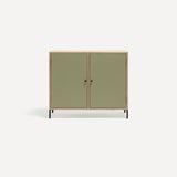 Two door ply wood contemporary side board with green painted doors, black metal knobs and feet.