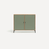 Two door ply wood contemporary side board with green painted doors, black metal knobs and feet.