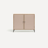 Two door ply wood contemporary side board with pink painted doors, black metal knobs and feet.