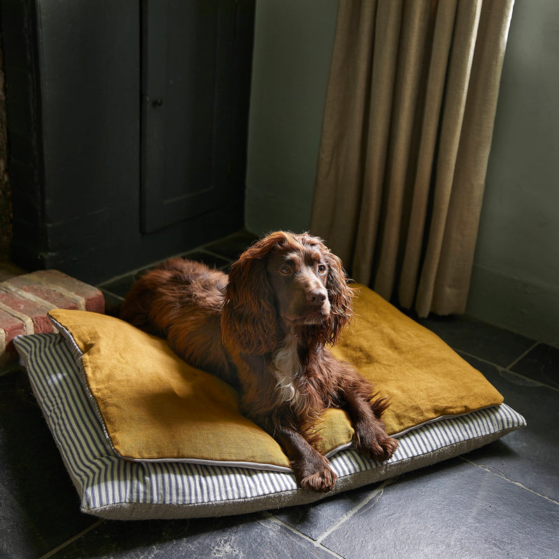 Chestnut colour working cocker dog laying on ochre pillow, cotton ticking and linen dog bed on black slate floor