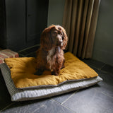 Chestnut colour working cocker dog sitting on ochre pillow, cotton ticking and linen dog bed on black slate floor
