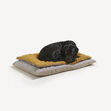 Black Labrador curled up on Dog bed ochre linen topper on cotton ticking stripe floor cushion. 