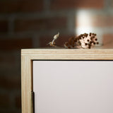 Close up of cabinet corner showing ply wood joint detail, pink painted door, hinge and dried seed heads on top.