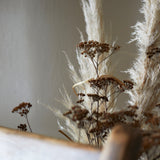 Back of traditional wooden chair and dried seed heads and pampas grass.